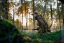 HÄRKILA - Forest Hunter GTX Camo bunda pánská AXIS MSP®Darkwood