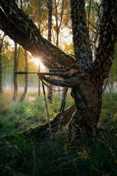 Forest Hunter