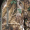 Hnědá|Camo