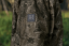 HÄRKILA - Forest Hunter GTX Camo bunda pánská AXIS MSP®Darkwood