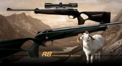 large r8 professional success 308