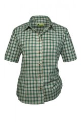 20213838 300 ID 21419