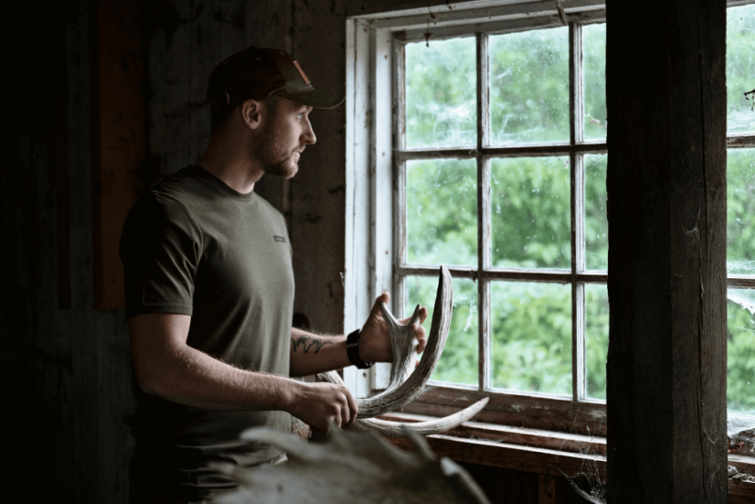 Seeland - 3pack triko pánské Pine green-Military olive-Grape leaf