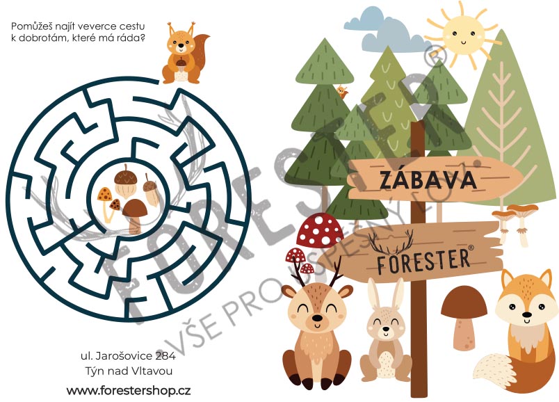 FORESTER - Omalovánky s hádankami