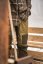 Seeland - Hemlock kalhoty pánské Military olive-Pine green