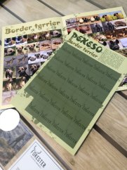 FORESTER - Border terrier pexeso