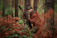 HÄRKILA - Forest Hunter GTX Camo Long bunda pánská  AXIS MSP®Autumn orange