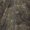 AXIS MSP®Darkwood