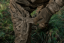 HÄRKILA - Forest Hunter GTX Camo kalhoty pánské AXIS MSP®Darkwood