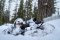 ☃️Kolekce Winter Active! ❄️