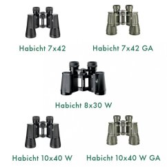 habicht alle