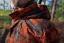 HÄRKILA - Forest Hunter GTX Camo Long bunda pánská  AXIS MSP®Autumn orange