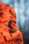 Seeland - Trax Blaze bunda pánská Orange Blaze InVis MPC