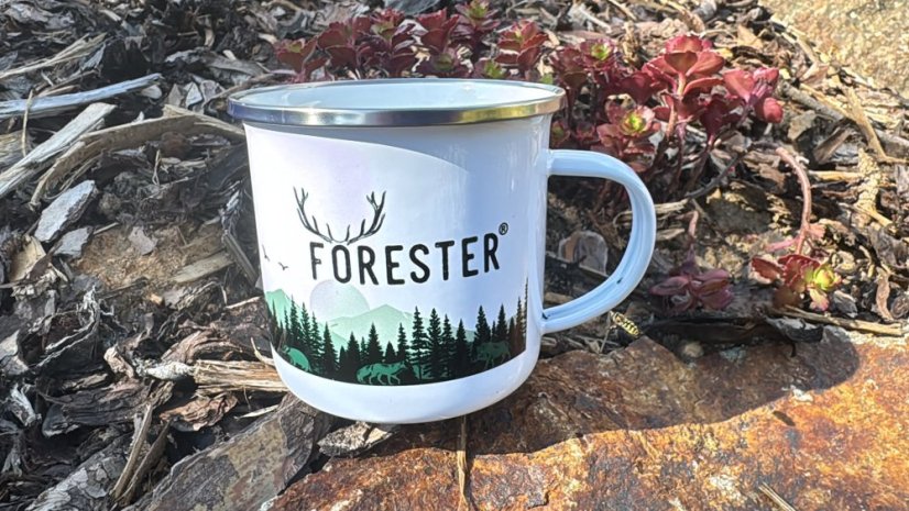 FORESTER - Šepot lesa plecháček
