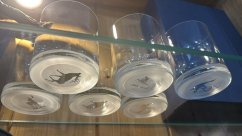 Brusírna Janský - ručně pískované sklenice z českého křišťálu na whisky set
