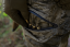 HÄRKILA - Forest Hunter GTX Camo kalhoty pánské AXIS MSP®Darkwood