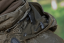 HÄRKILA - Forest Hunter GTX Camo bunda pánská AXIS MSP®Darkwood