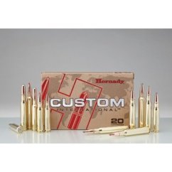 Hornady, Custom International, .300 WinMag, 180GR, SP
